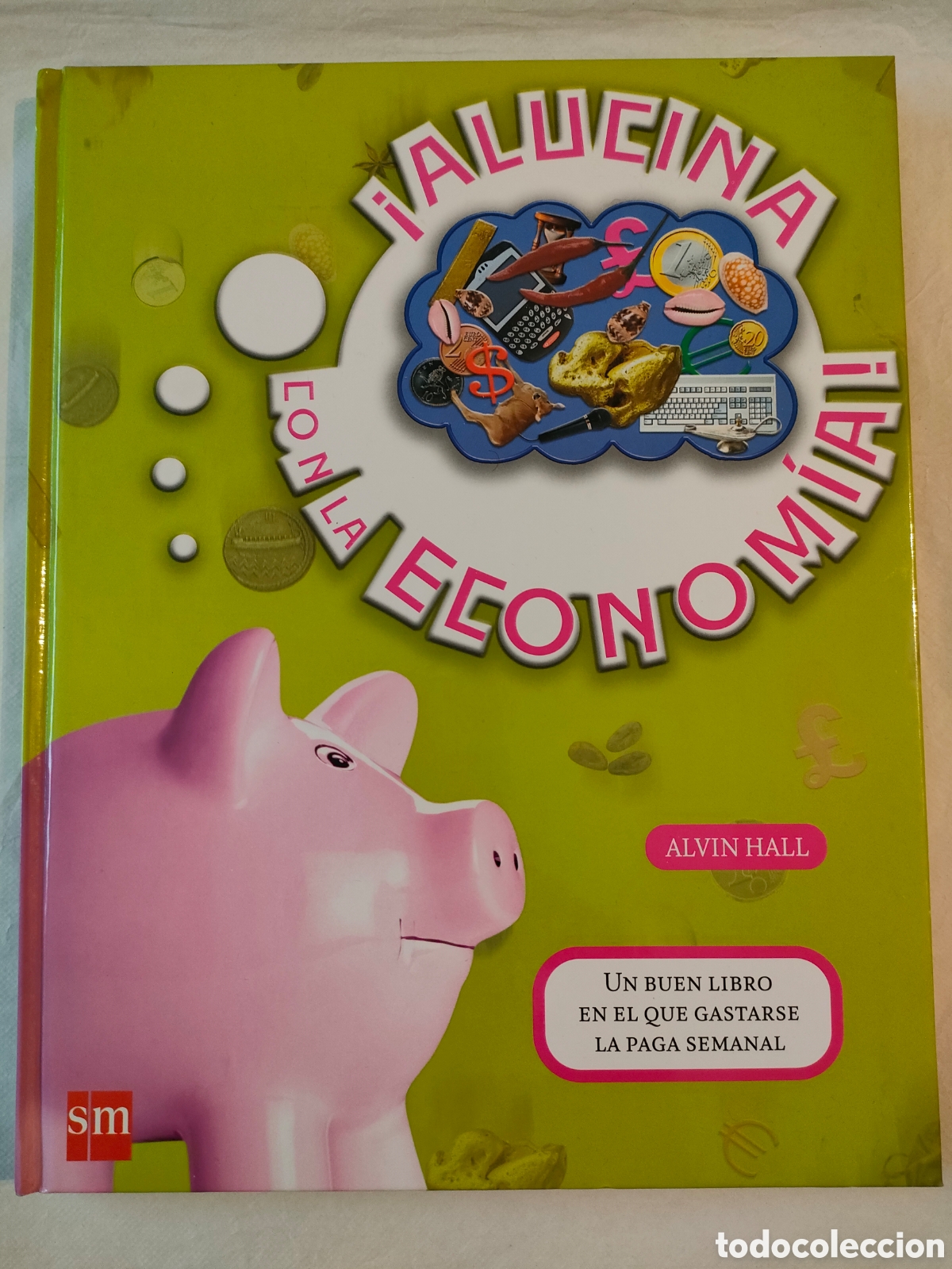 Libros de segunda mano: Libro Alucina con la econom&iacute;a. Alvin Hall. Ediciones Sm. 2008