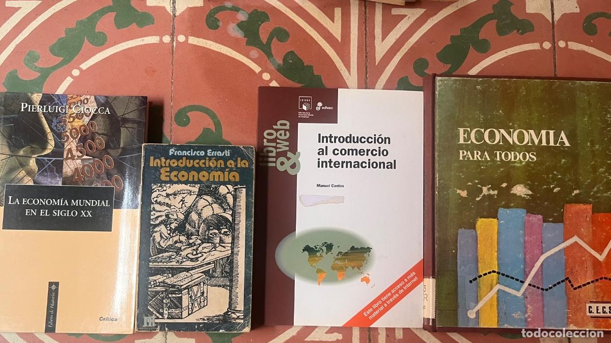 Libri di seconda mano: Lote econom&iacute;a &ndash; 4 libros &ndash; Ciocca, Errasti, Cantos, Perles