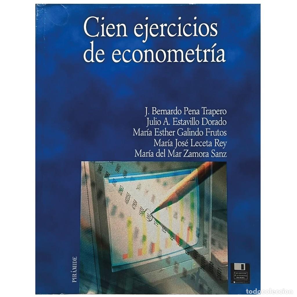 Libros de segunda mano: CIEN EJERCICIOS DE ECONOMETR&Iacute;A. Varios autores - Foto 1
