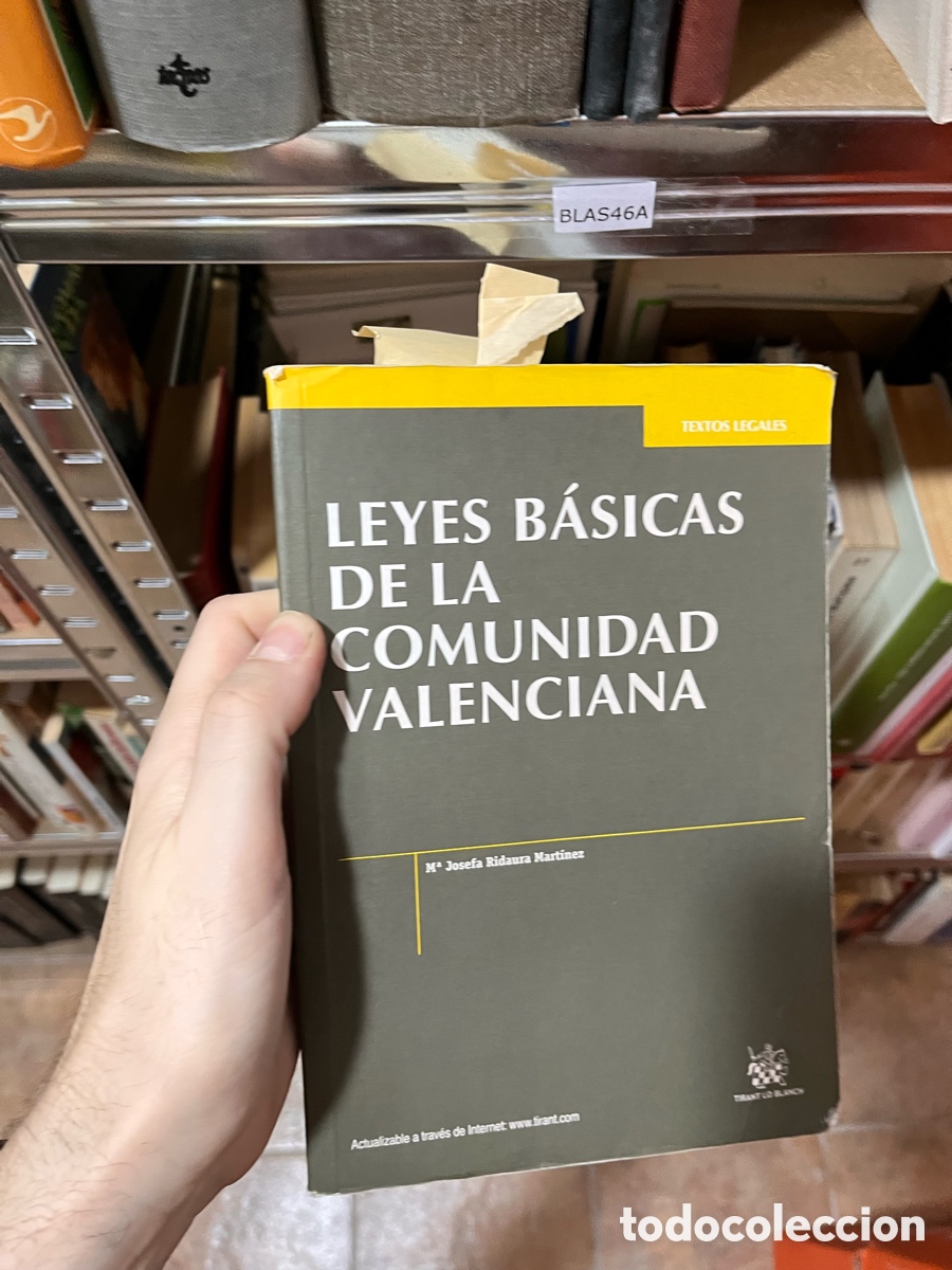 Second hand books: Blas46A LEYES B&Aacute;SICAS DE LA COMUNIDAD VALENCIANA Ma Josefa Ridaura Martinez, tirant lo blanch