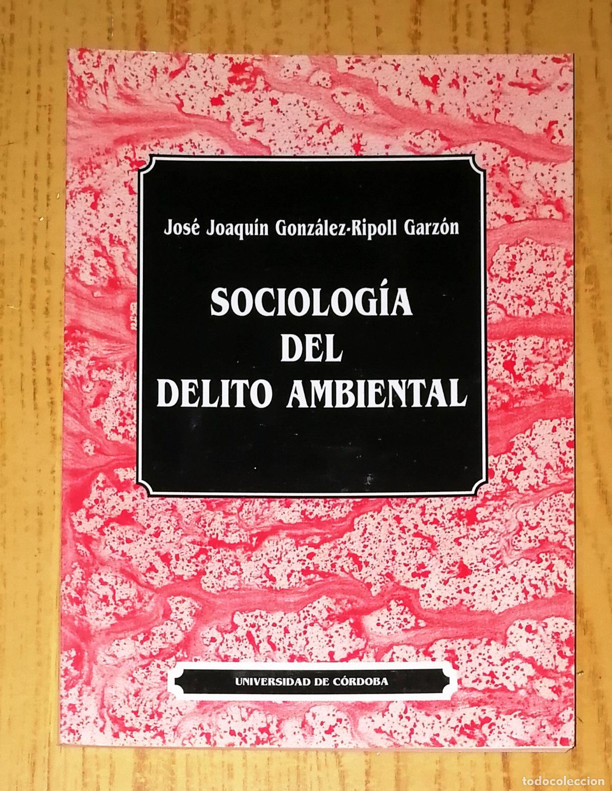 Libros de segunda mano: SOCIOLOG&Iacute;A DEL DELITO AMBIENTAL (Monograf&iacute;as 188) / Jos&eacute; Joaqu&iacute;n Gonz&aacute;lez.- Universidad C&oacute;rdoba 1992