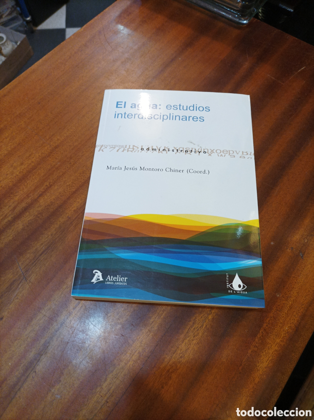Second hand books: EL AGUA :ESTUDIOS INTERDISCIPLINARES . MAR&Iacute;A JES&Uacute;S MONTORO CHINER . ATELIER LIBROS JUR&Iacute;DICOS