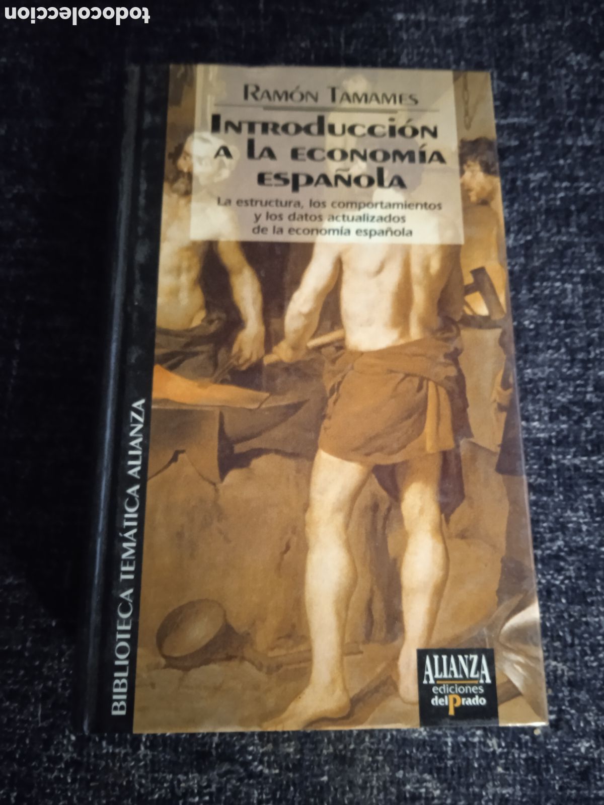 Libri di seconda mano: INTRODUCCION A LA ECONOMIA ESPA&Ntilde;OLA. / RAMON TAMAMES.