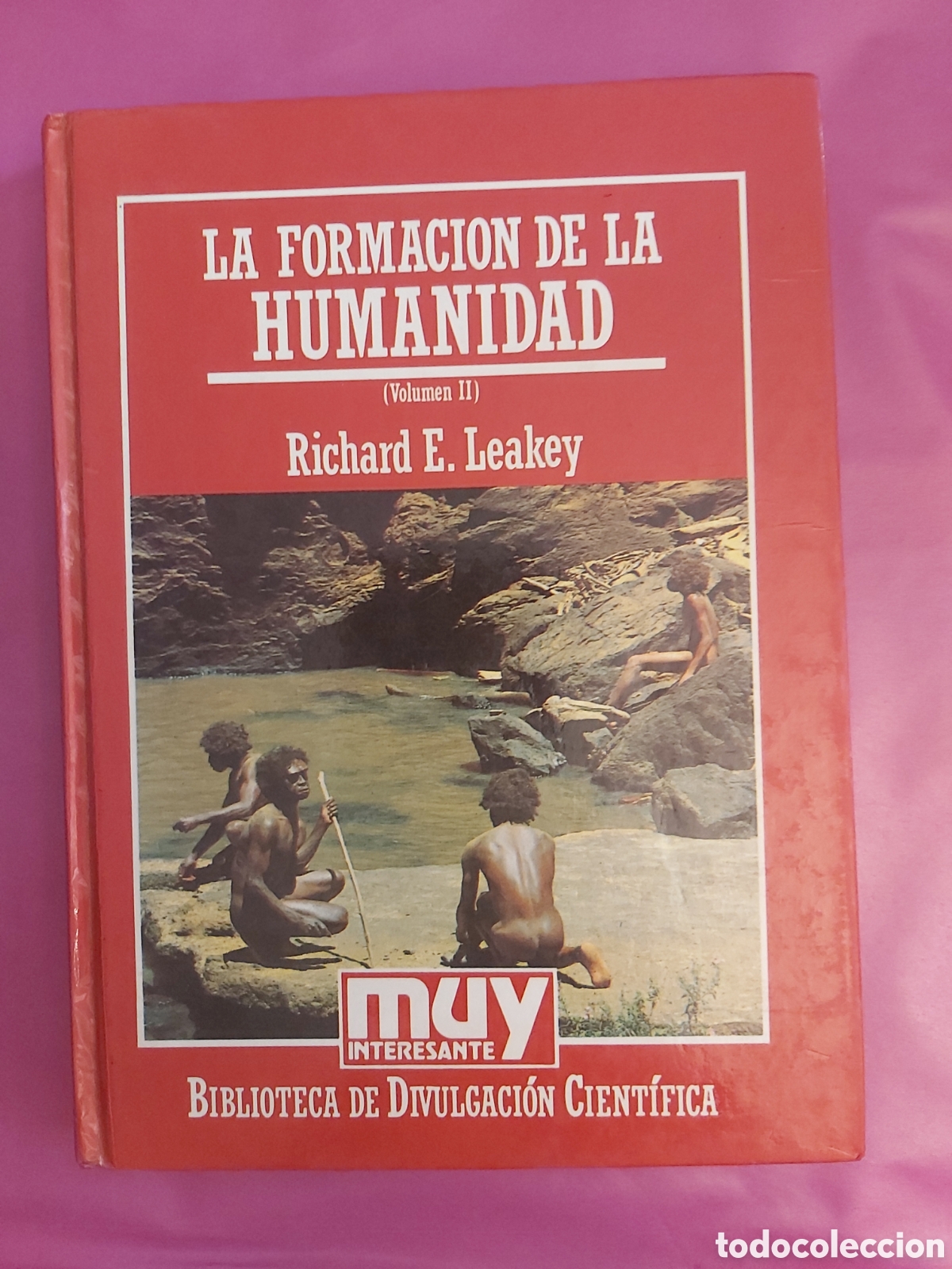 Libros de segunda mano: LA FORMACI&Oacute;N DE LA HUMANIDAD II RICHARD E. LEAKEY BIBLIOTECA DE DIVULGACI&Oacute;N CIENT&Iacute;FICA 15