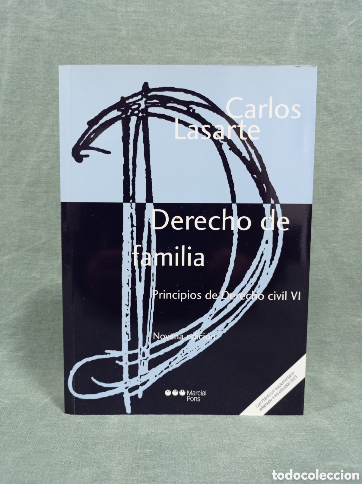 Gebrauchte B&uuml;cher: DERECHO DE FAMILIA - PRINCIPIOS DE DERECHO CIVIL VI - CARLOS LASARTE - ED. MARCIAL PONS