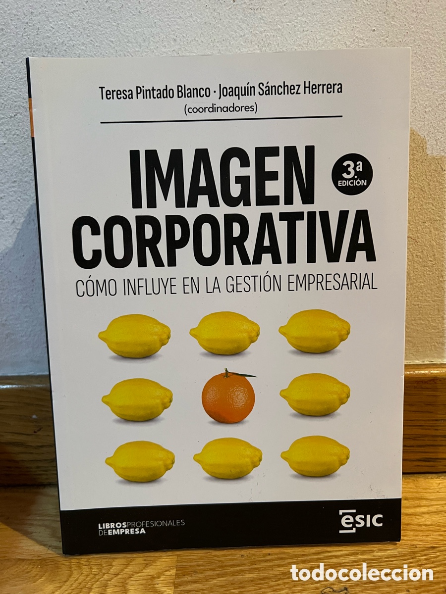Libri di seconda mano: Teresa Pintado Blanco Joaqu&iacute;n S&aacute;nchez Herrera IMAGEN CORPORATIVA