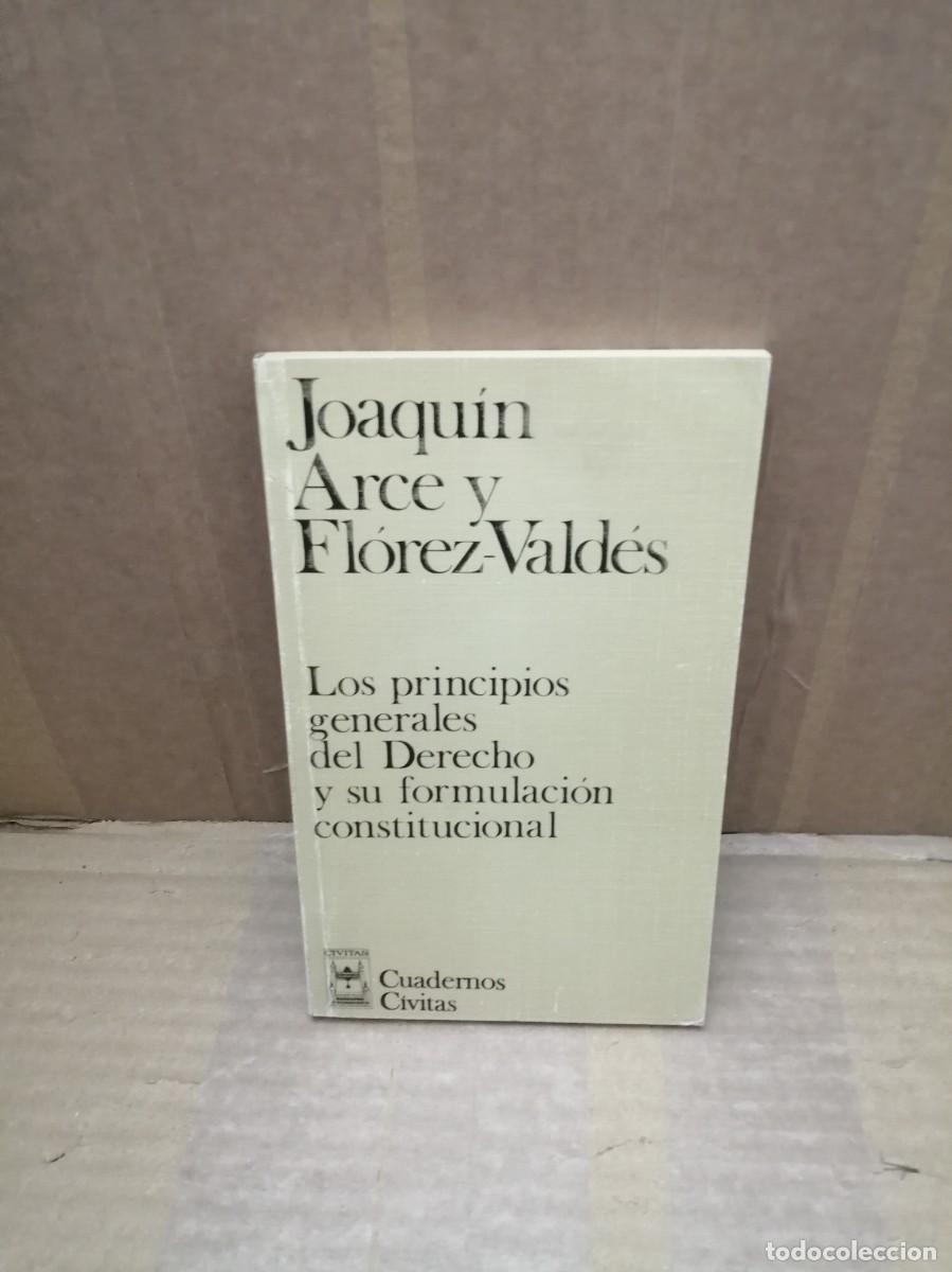 Second hand books: Los principios generales del Derecho y su formulaci&oacute;n constitucional (Primera edici&oacute;n)