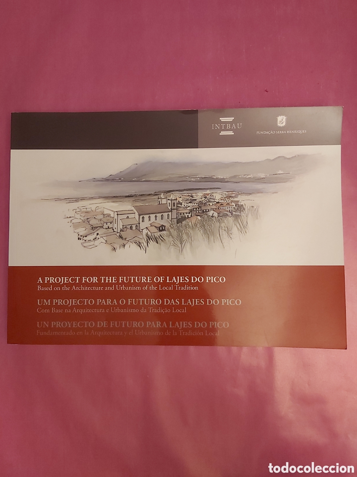 Libros de segunda mano: UN PROYECTO DE FUTURO PARA LAJES DO PICO 2023 ISBN 9789893343296