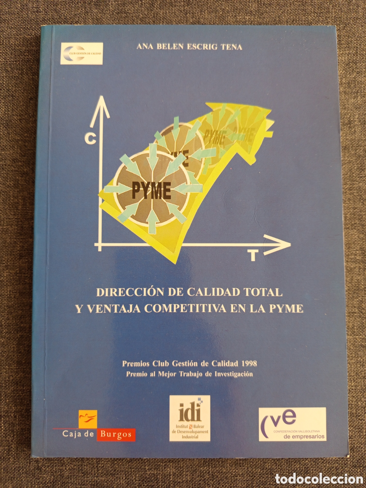Libros de segunda mano: DIRECCION DE CALIDAD TOTAL Y VENTAJA COMPETITIVA EN LA PYME (ANA BELEN ESCRIG TENA)