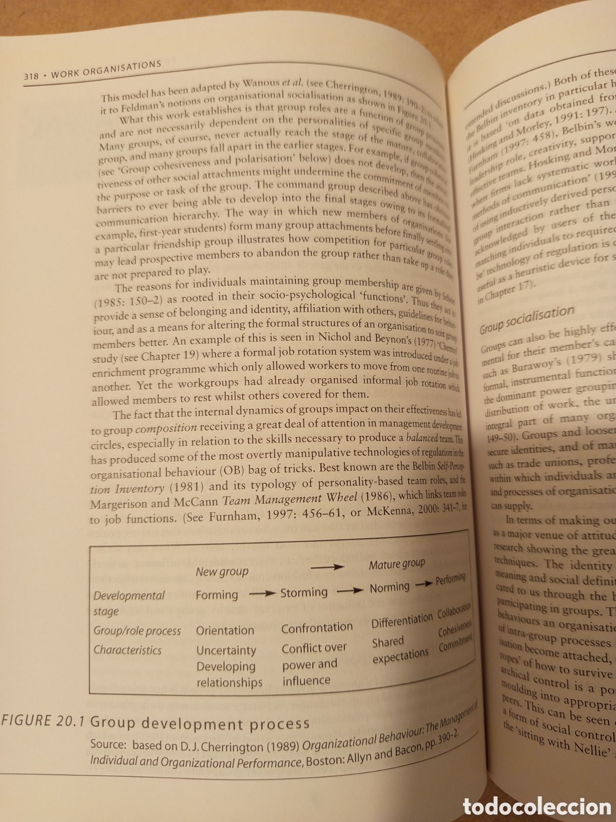Libros de segunda mano: WORK ORGANISATIONS (PAUL THOMPSON / DAVID MCHUGH) - Foto 10