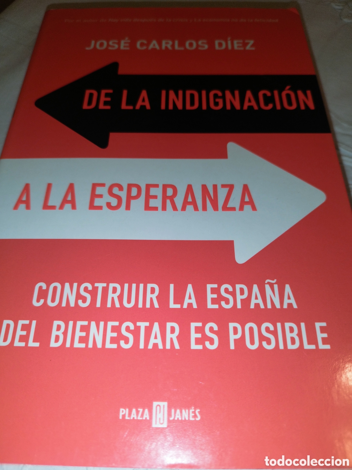 Libros de segunda mano: DIEZ: DE LA INDIGNACION A LA ESPERANZA. CONSTRUIR LA ESPA&Ntilde;A DEL BIENESTAR ES POSIBLE. P&J 2018 1&ordf;.ED