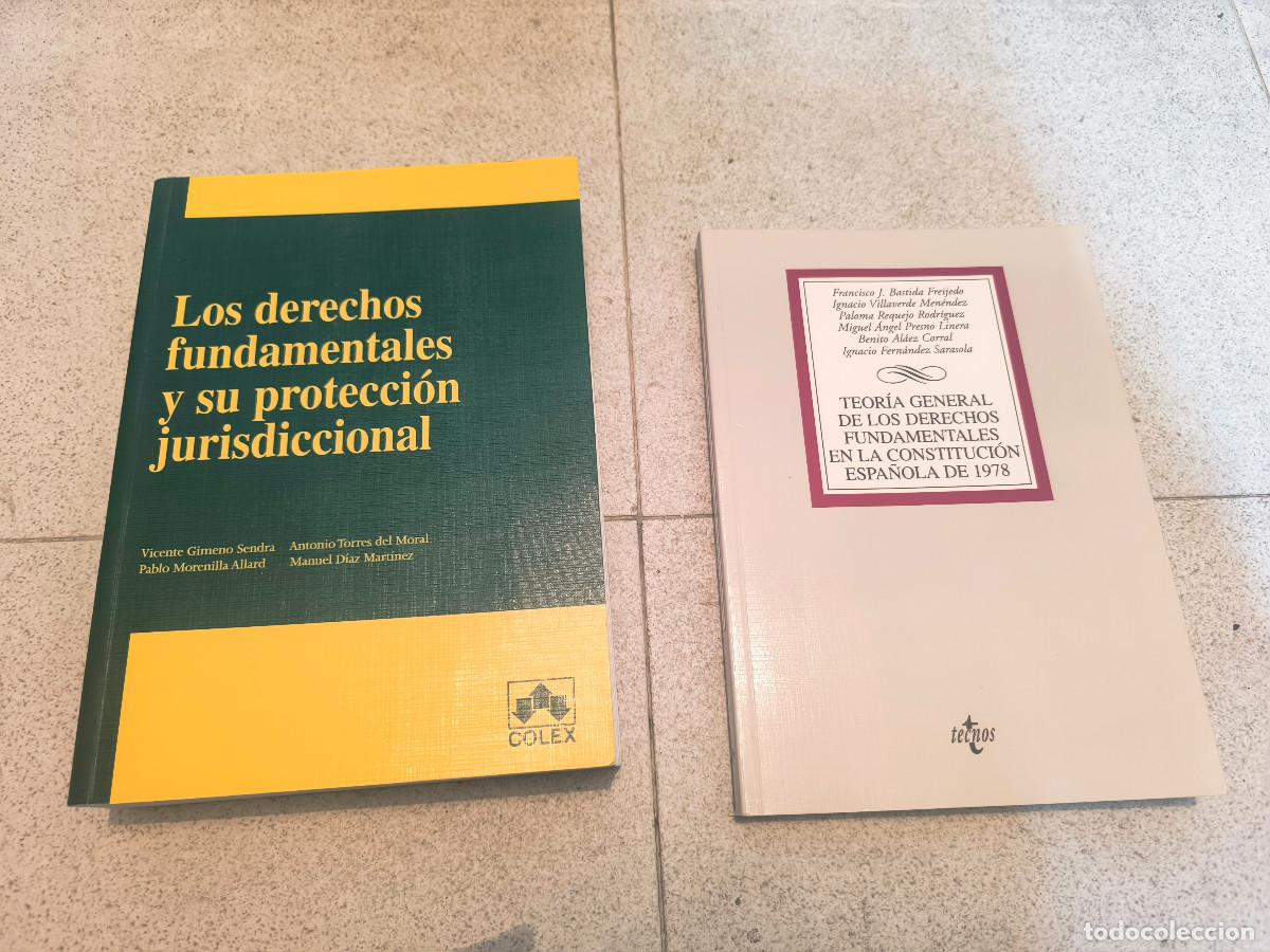 Libros de segunda mano: MANUAL DERECHOS FUNDAMENTALES + TEORIA GENERAL DERECHOS FUNDAMENTALES