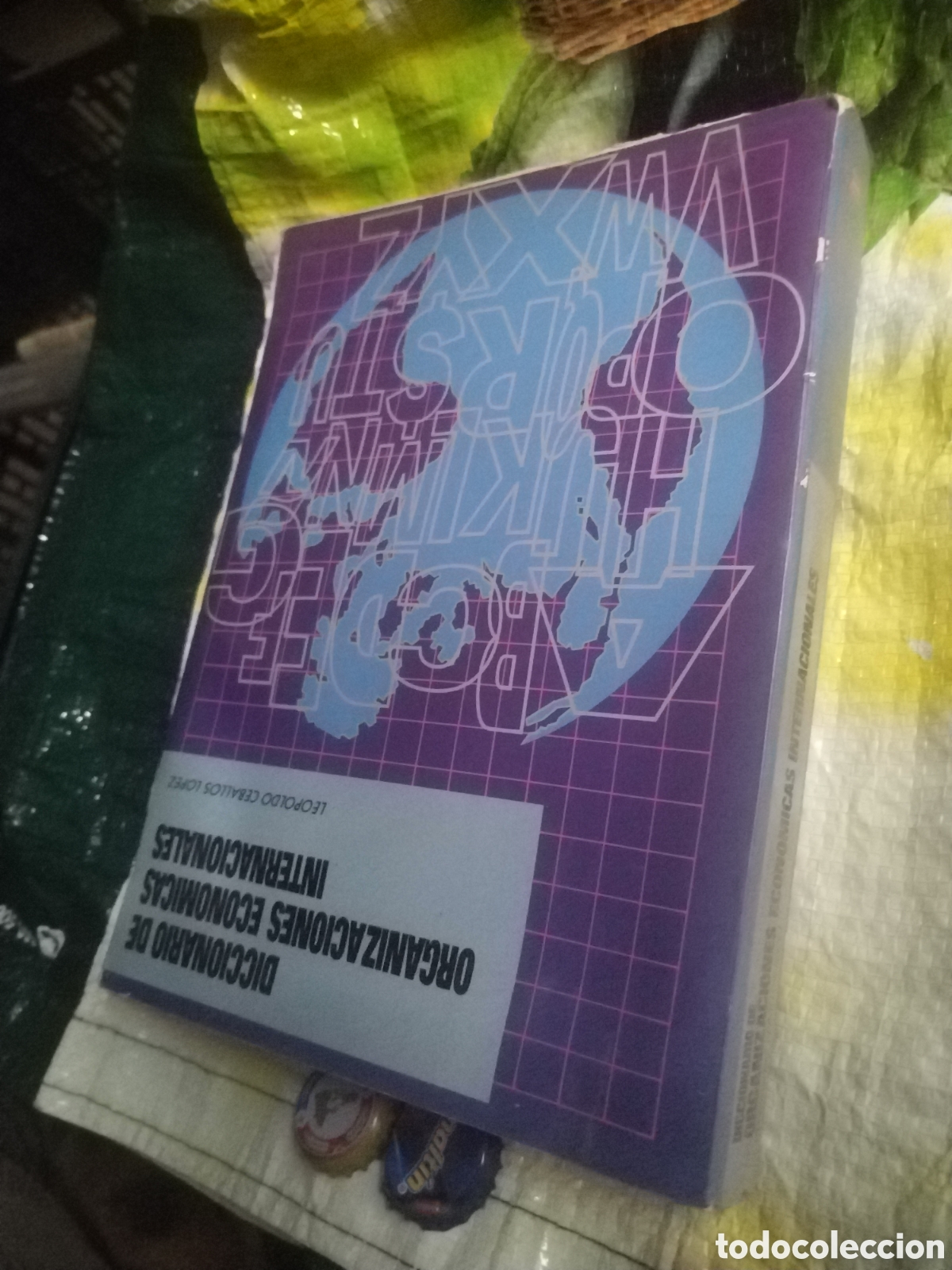 Libros de segunda mano: DICCIONARIO DE ORGANIZACIONES ECONOMICAS INTERNACIONALES a&ntilde;o 2000