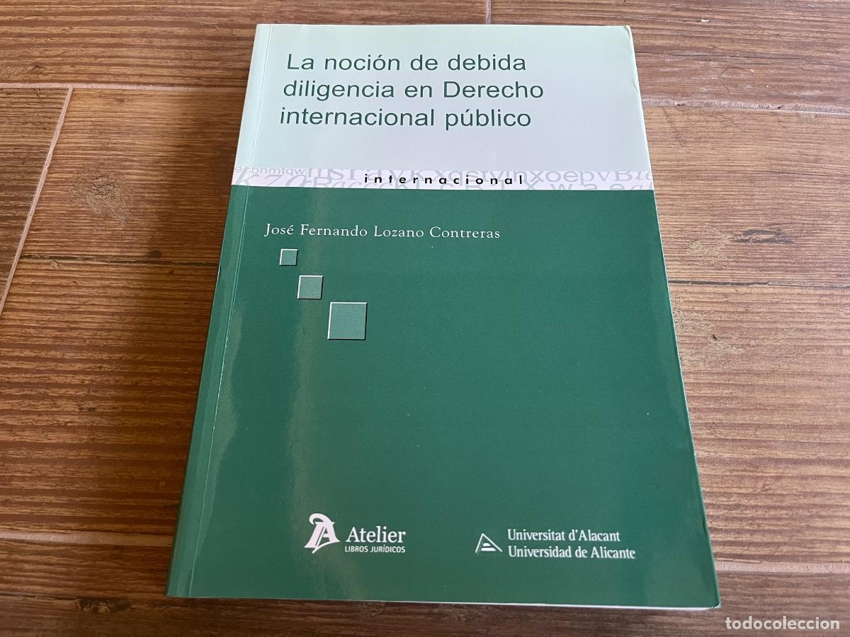 Libros de segunda mano: Noci&oacute;n de debida diligencia en derecho internacional p&uacute;blico Jos&eacute; Fernando Lozano Contreras