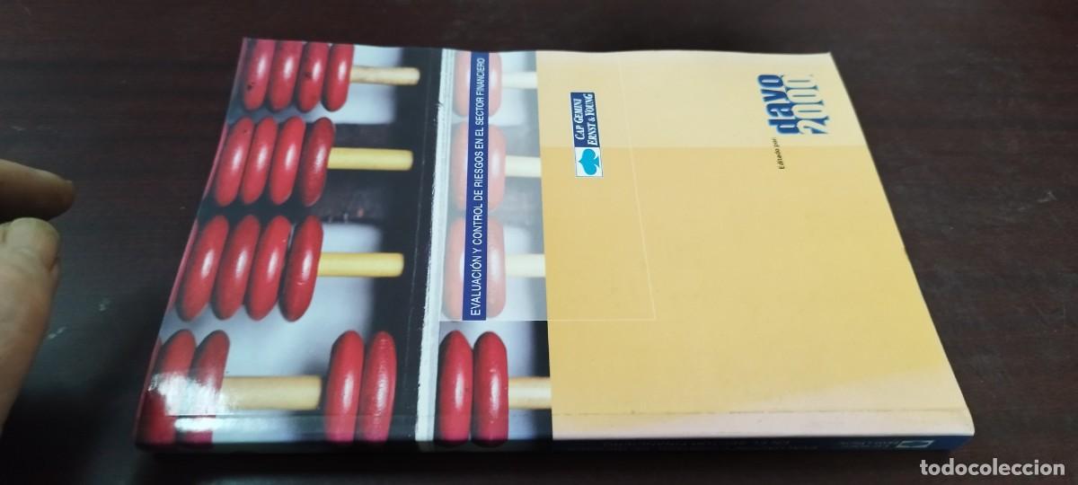 Libros de segunda mano: EVALUACION Y CONTROL DE RIESGOS EN EL SECTOR FINANCIERO / / PU-NEW-GA6 / DAYO 2000