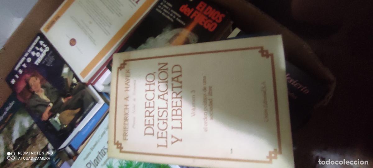 Libros de segunda mano: DERECHO LEGISLACI&Oacute;N Y LIBERTAD Vol.3 - Friedrich A. Hayek