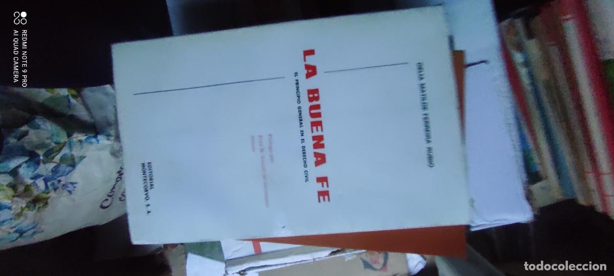 Libros de segunda mano: La Buena F&eacute;, principio general del derecho, Dimas