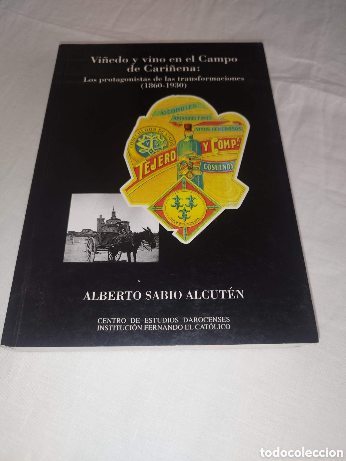 Libros de segunda mano: VI&Ntilde;EDO Y VINO EN EL CAMPO DE CARI&Ntilde;ENA (1860-1930).- SABIO ALCUT&Eacute;N. 1995 PRIMERA EDICION.