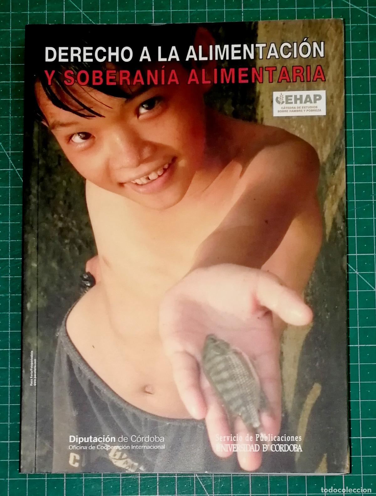 Libros de segunda mano: DERECHO A LA ALIMENTACI&Oacute;N Y SOBERAN&Iacute;A ALIMENTARIA / C&aacute;tedra de Estudios sobre Hambre y Pobreza
