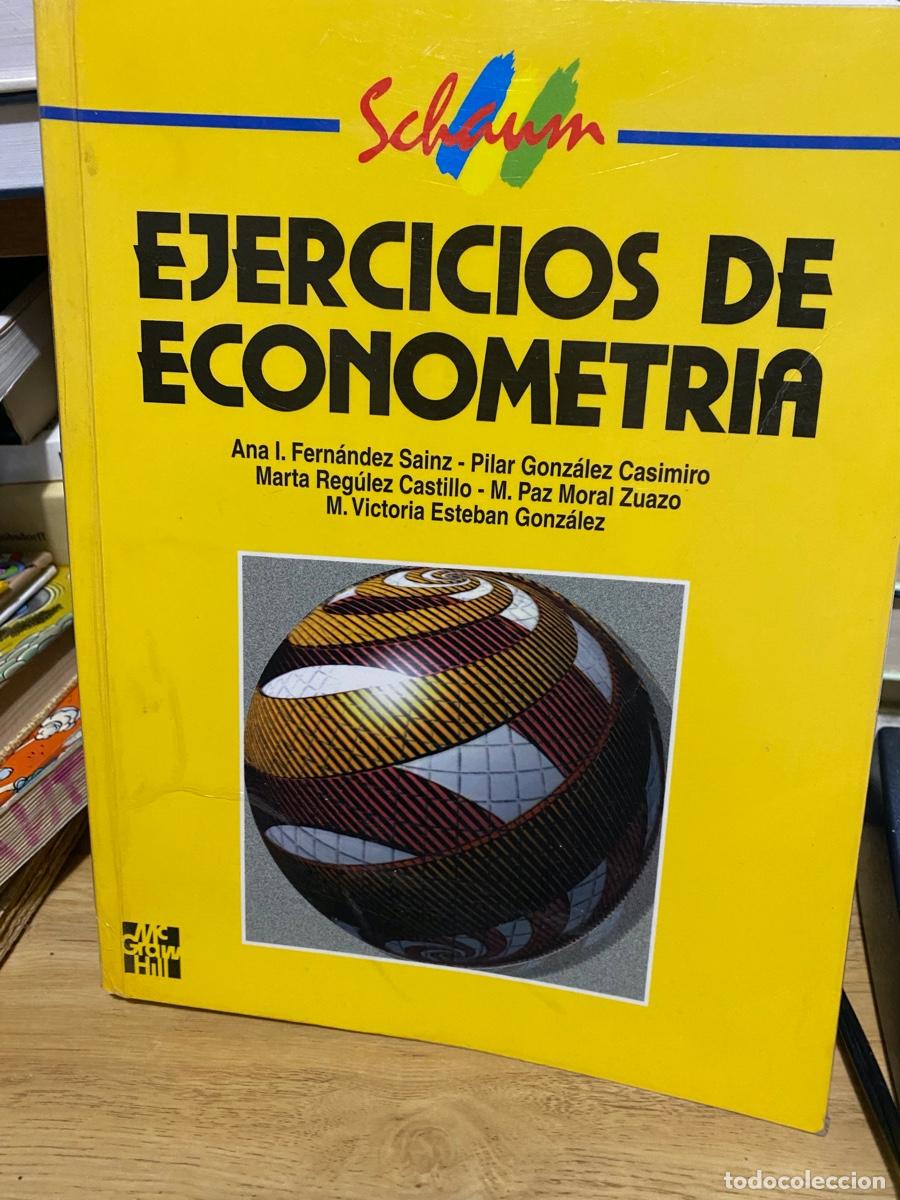 Libros de segunda mano: EJERCICIOS DE ECONOMETRIA, ANA I. FERNANDEZ SAINZ, PILAR GONZALEZ, EDT. MC GRAW HILL