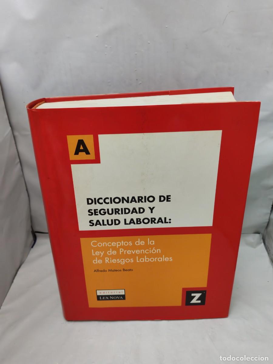 Libri di seconda mano: Diccionario de Seguridad y Salud Laboral: Conceptos de la Ley de prevenci&oacute;n de riesgos laborales