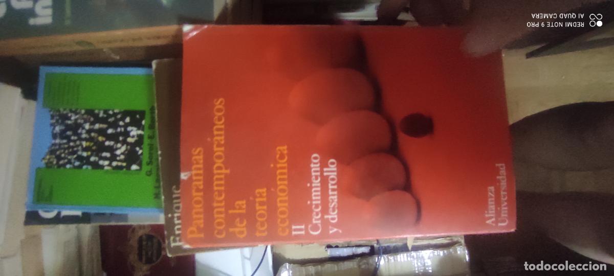 Libros de segunda mano: PANORAMAS CONTEMPOR&Aacute;NEOS DE LA TEOR&Iacute;A ECON&Oacute;MICA, II. CRECIMIENTO Y DESARROLLO. ALIANZA UNIVERSIDAD.