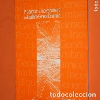 Libros de segunda mano: Produccion e Incertidumbre Equilibrio General Pedro Jose Gutierrez Diez Septem 2002 Economia PEIFER