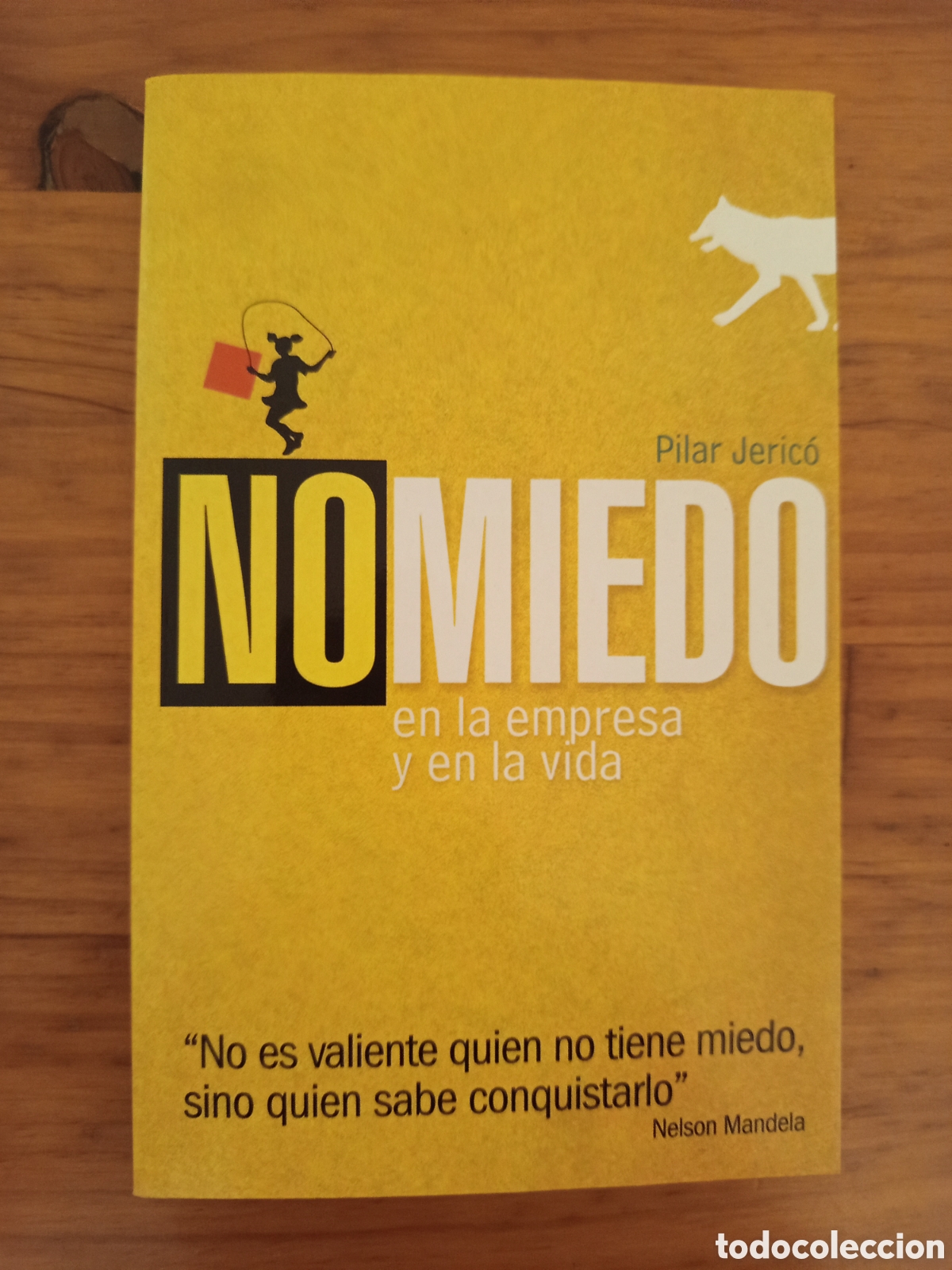 Libros de segunda mano: NO MIEDO. EN LA EMPRESA Y EN LA VIDA (PILAR JERICO)