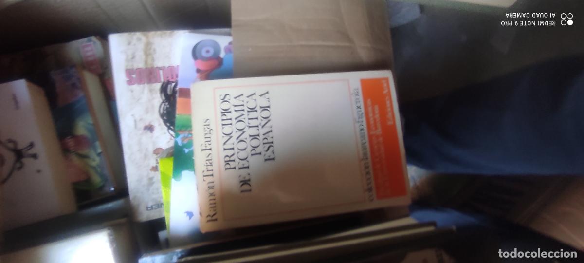 Libros de segunda mano: PRINCIPIOS DE ECONOM&Iacute;A POL&Iacute;TICA ESPA&Ntilde;OLA - RAM&Oacute;N TR&Iacute;AS FARGAS - COLECCI&Oacute;N LAUREANO FIGUEROLA /
