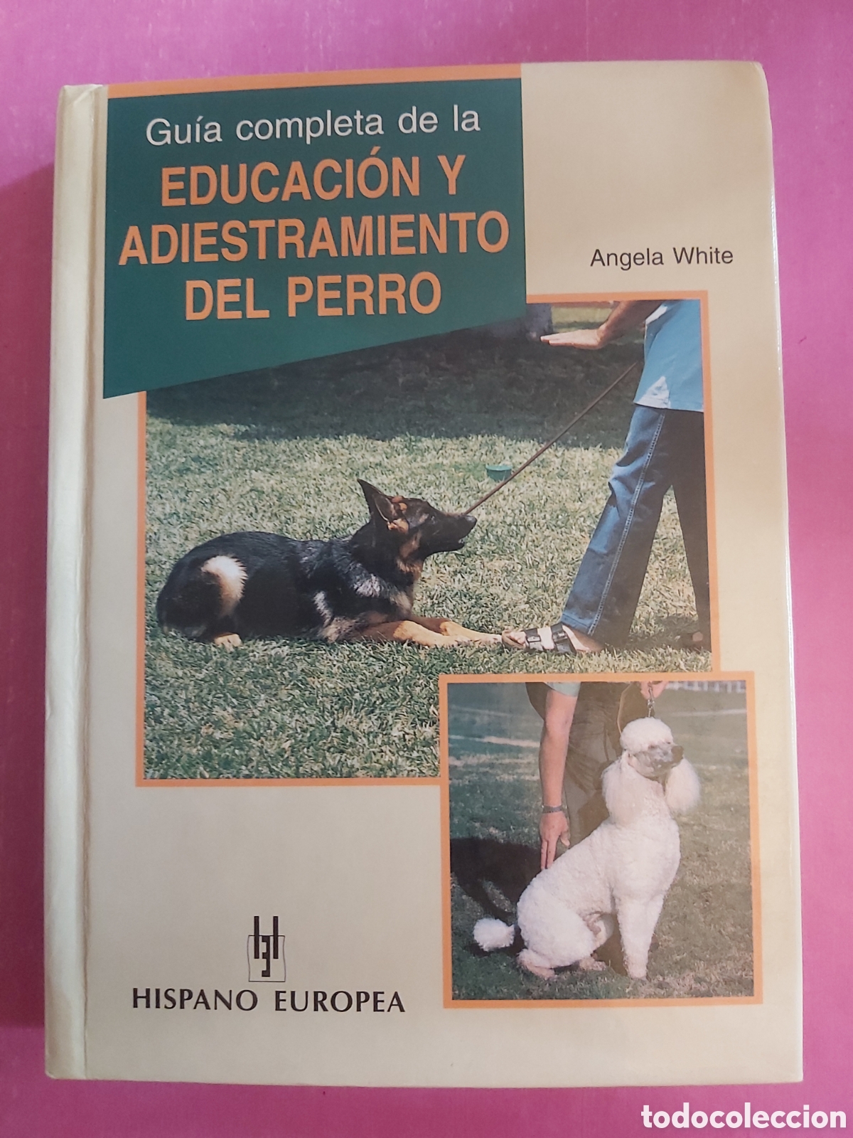 Libros de segunda mano: GUIA COMPLETA DE LA EDUCACI&Oacute;N Y ADIESTRAMIENTO DEL PERRO ANGELA WHITE HISPANO EUROPEA 1997