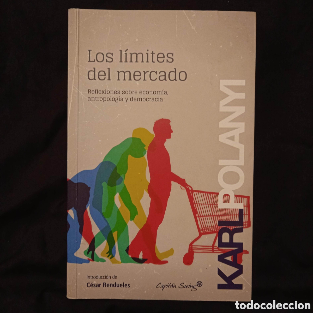 Libros de segunda mano: LOS LIMITES DEL MERCADO - KARL POLANYI - CAPIT&Aacute;N SWING 2014