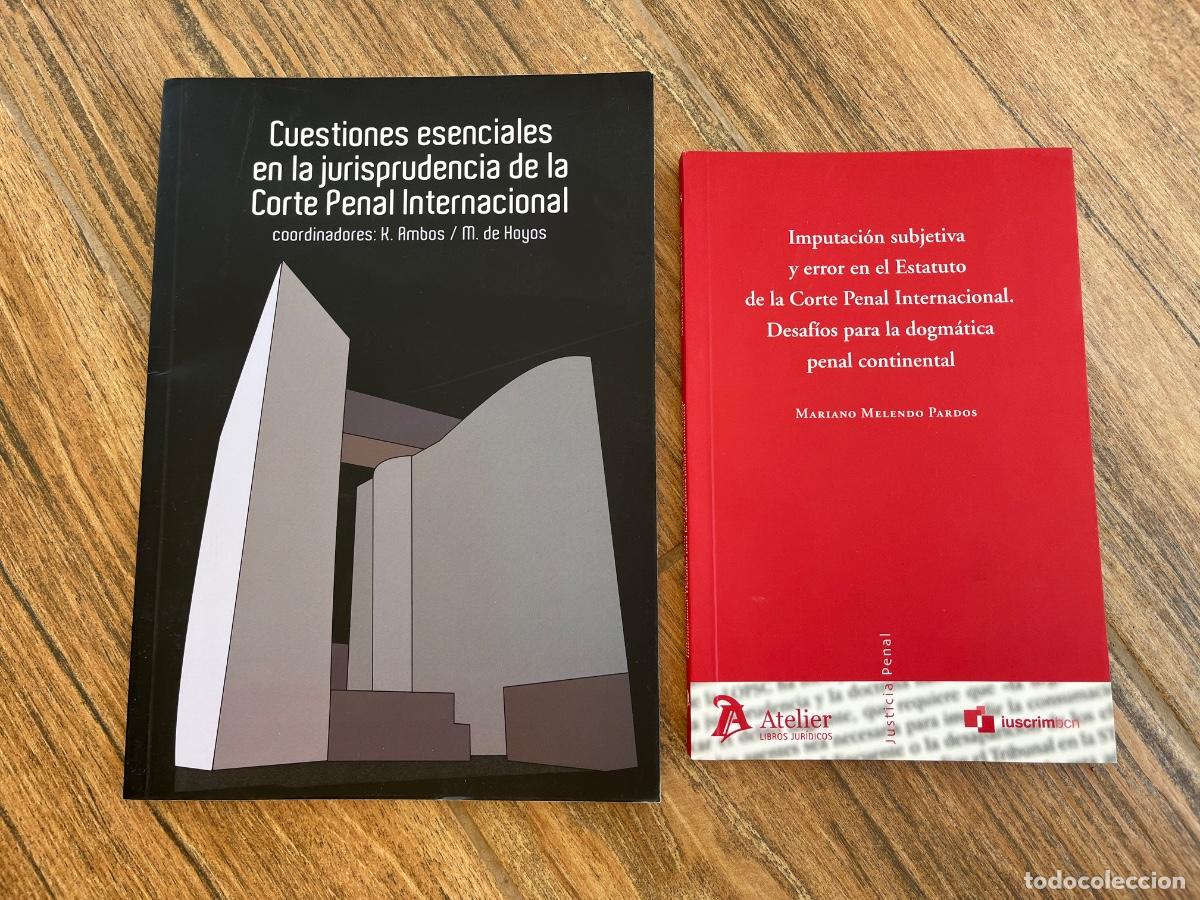 Libros de segunda mano: CORTE PENAL INTERNACIONAL - CUESTIONES ESENCIALES EN LA JURISPRUDENCIA + IMPUTACI&Oacute;N SUBJETIVA