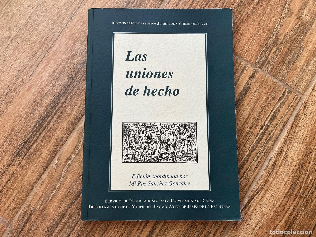 Libros de segunda mano: LAS UNIONES DE HECHO II SEMINARIO DE ESTUDIOS JUR&Iacute;DICOS Y CRIMINOL&Oacute;GICOS Por MARIA PAZ SANCHEZ GONZ