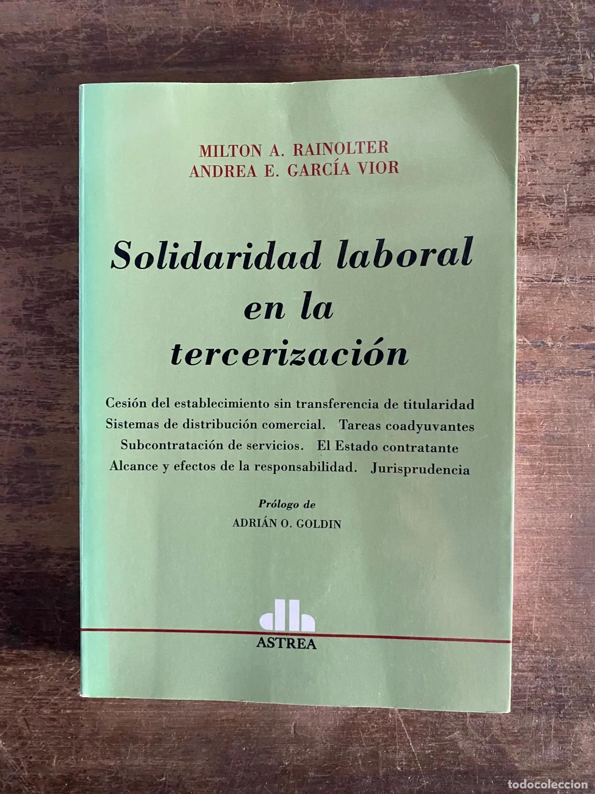 Libros de segunda mano: Milton A. Rainolter; Andrea E. Garcia Vior - Solidaridad laboral en la tercerizacion