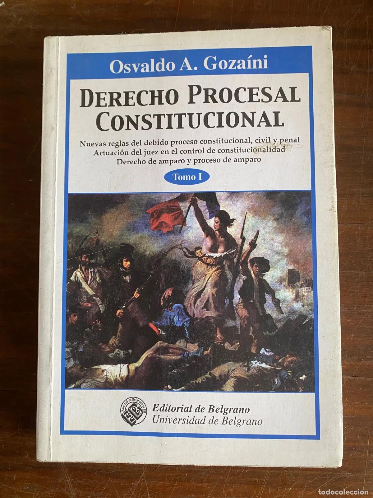 Livres d'occasion: Osvaldo A. Gozaini - DERECHO PROCESAL CONSTITUCIONAL