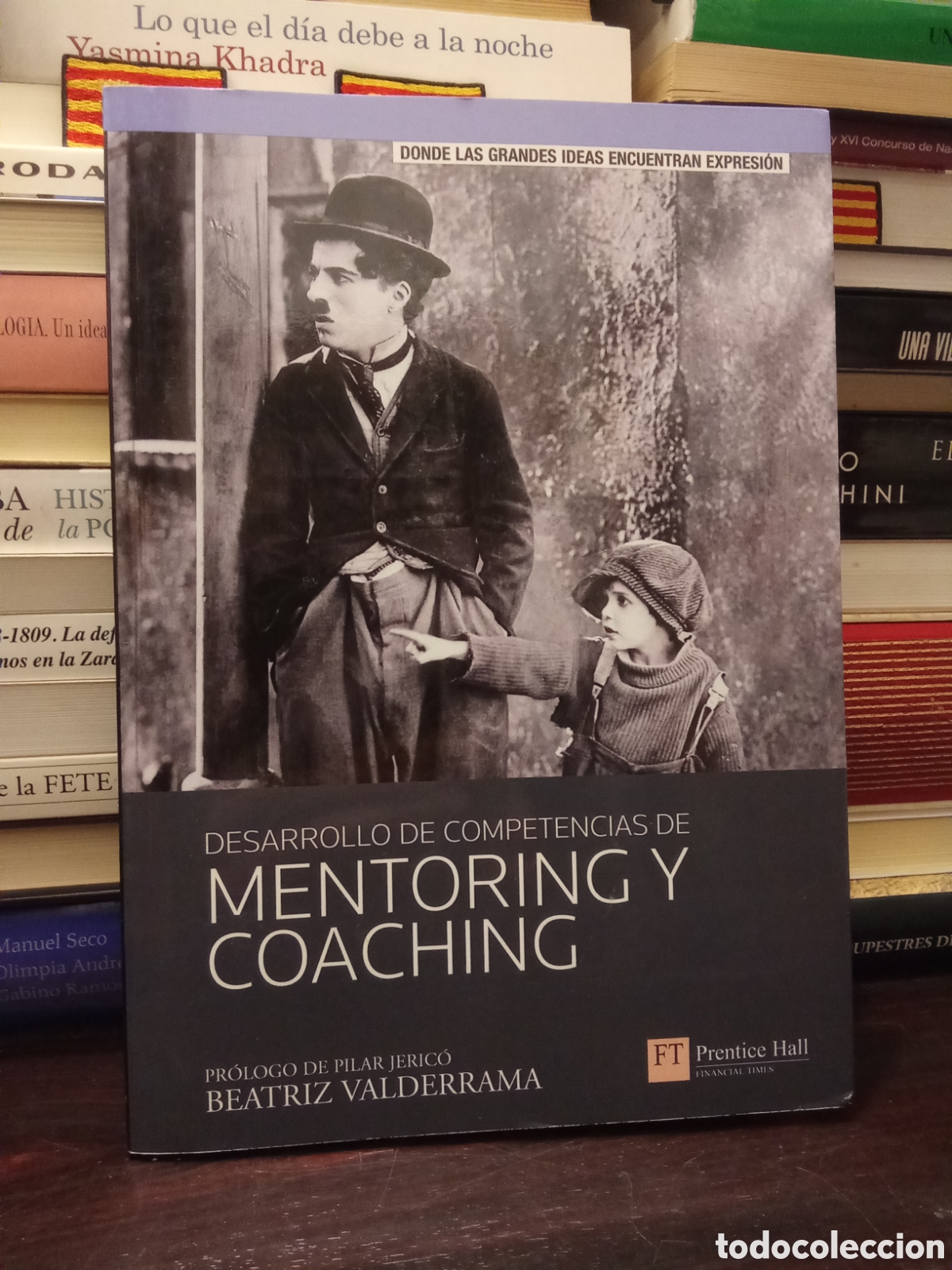 Libros de segunda mano: DESARROLLO DE COMPETENCIAS DE MENTORING Y COACHING - BEATRIZ VALDERRAMA