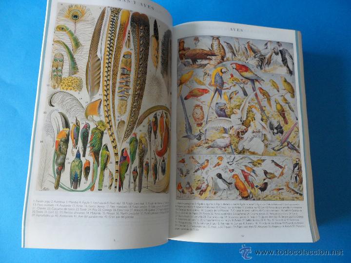 Diccionarios de segunda mano: El Peque&ntilde;o Larousse 2003 - Foto 5