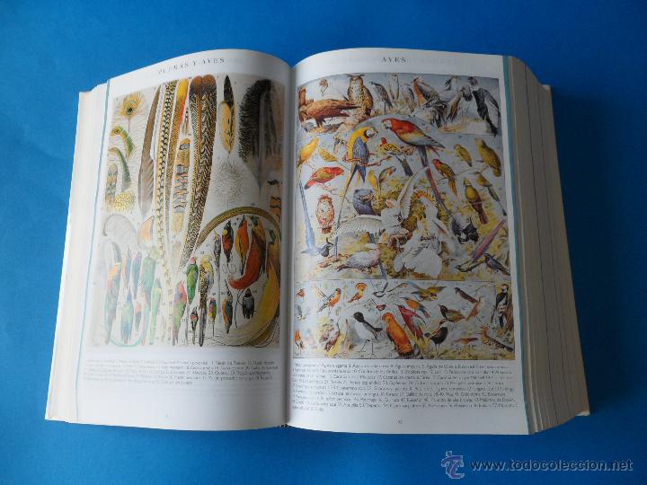 Diccionarios de segunda mano: El Peque&ntilde;o Larousse 2003 - Foto 6