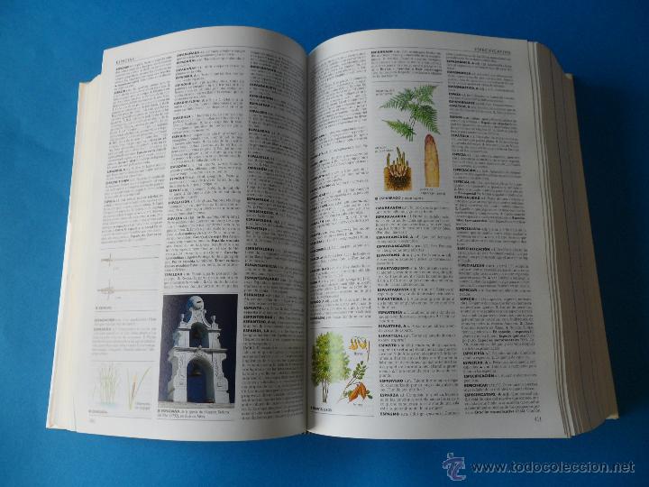 Diccionarios de segunda mano: El Peque&ntilde;o Larousse 2003 - Foto 7
