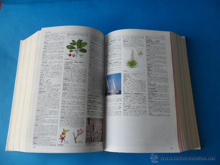 Diccionarios de segunda mano: El Peque&ntilde;o Larousse 2003 - Foto 8