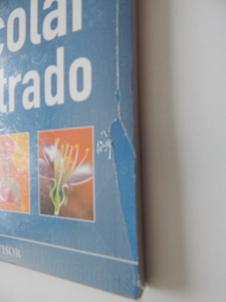 Diccionarios de segunda mano: Diccionario escolar ilustrado - Libro nuevo - Foto 2