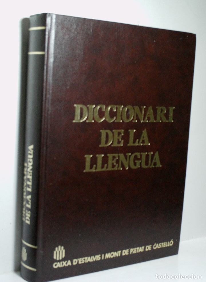 Diccionarios de segunda mano: DICCIONARI DE LA LLENGUA. 1989 - Foto 1