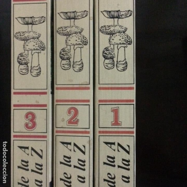 Diccionarios de segunda mano: LAS SETAS DE LA &ldquo;A&rdquo; a la &ldquo;Z&rdquo; , 3 TOMOS - Foto 4