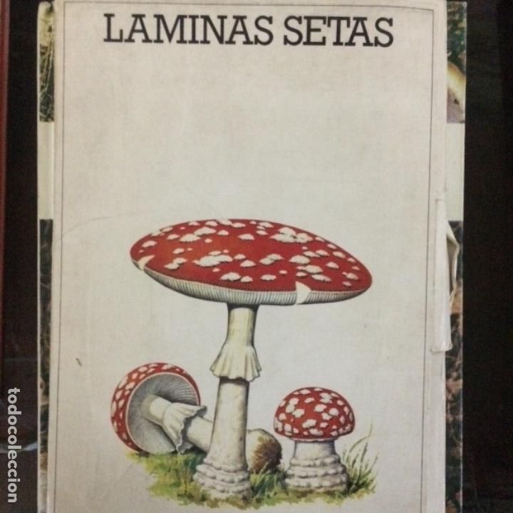 Diccionarios de segunda mano: LAS SETAS DE LA &ldquo;A&rdquo; a la &ldquo;Z&rdquo; , 3 TOMOS - Foto 5