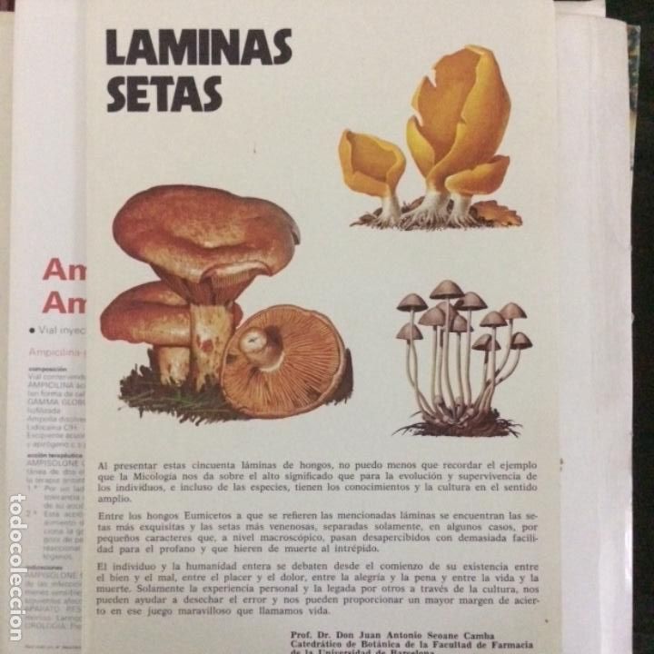 Diccionarios de segunda mano: LAS SETAS DE LA &ldquo;A&rdquo; a la &ldquo;Z&rdquo; , 3 TOMOS - Foto 6