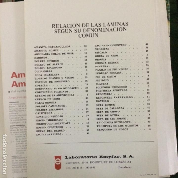 Diccionarios de segunda mano: LAS SETAS DE LA &ldquo;A&rdquo; a la &ldquo;Z&rdquo; , 3 TOMOS - Foto 7