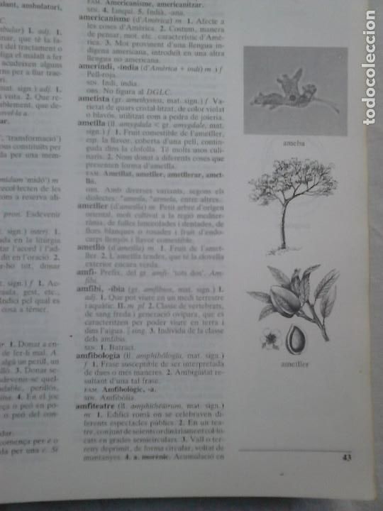 Diccionarios de segunda mano: Diccionari Barcanova de la Llengua / EN CATAL&Agrave; - Foto 3