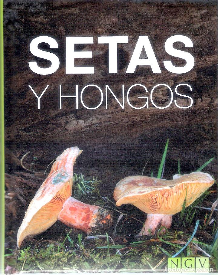 Diccionarios de segunda mano: SETAS Y HONGOS - EQUIPO NGV - Foto 1