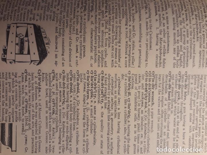 Diccionarios de segunda mano: Dictionary new universal - Foto 7