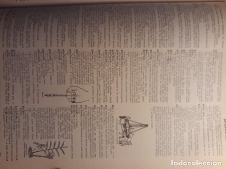 Diccionarios de segunda mano: Dictionary new universal - Foto 8